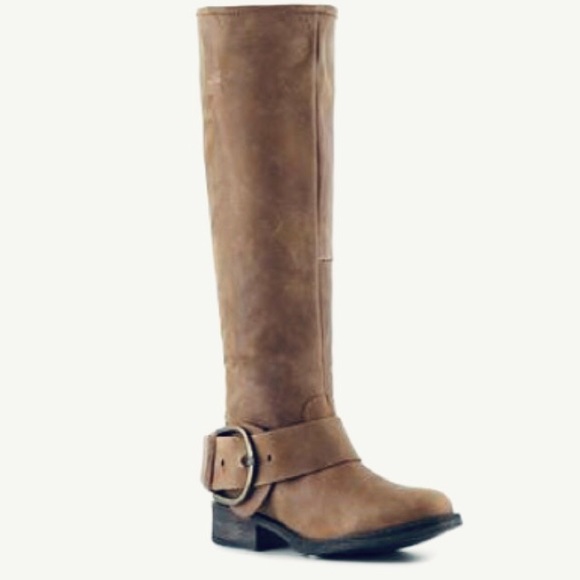 Steve Madden • Larent Tall Leather Boot 5.5 - Picture 1 of 15